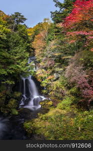 Autumn fall forest at Ryuzu waterfall at Nikko Tochigi Japan