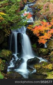 Autumn fall forest at Ryuzu waterfall at Nikko Tochigi Japan