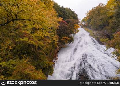 Autumn fall forest at Yudaki Falls at Nikko Tochigi Japan