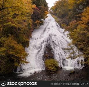 Autumn fall forest at Yudaki Falls at Nikko Tochigi Japan