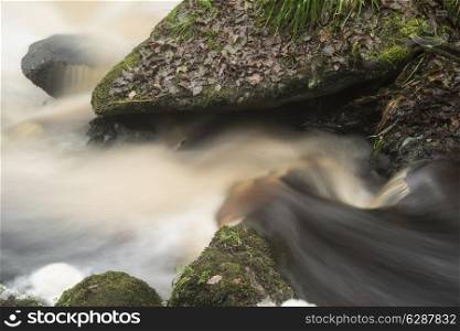 Autumn Fall forest landscape river flowing through golden vibrant foliage and rocks