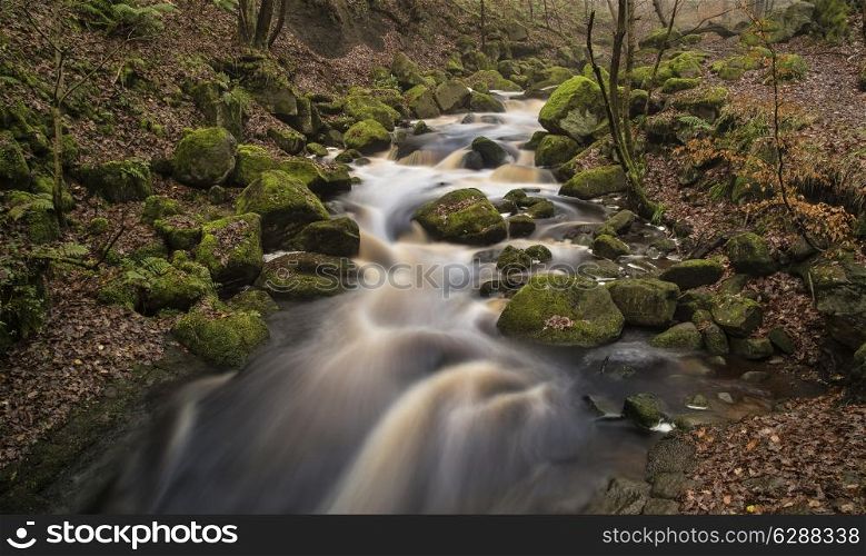 Autumn Fall forest landscape river flowing through golden vibrant foliage and rocks