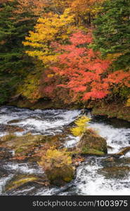 Autumn fall forest with stream water to Ryuzu Falls with lake Chezenji in background, Nikko Tochigi Japan