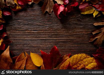 Autumn fall frame golden red leaves on wood background copy space