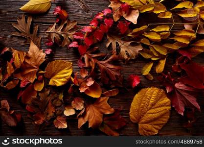 Autumn fall golden red leaves on wood background