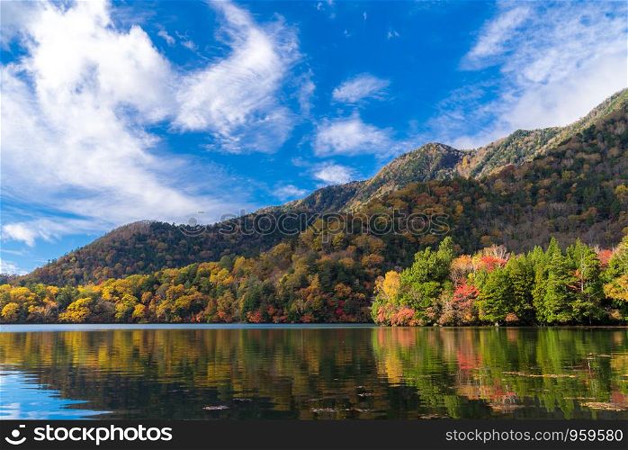 Autumn Fall Lake Forest Woodlands and Mountain at Yunoko lake at Nikko Tochigi Japan