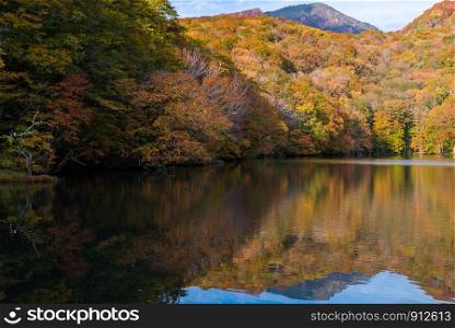 Autumn Fall Lake with reflection in Aomori Tohoku Japan