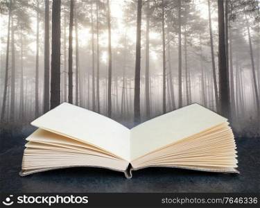Autumn Fall landscape foggy morning in pine forest coming out of pages in a book