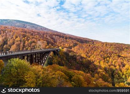 Autumn Fall Landscape of Forest and woods with Jogakura Ohashi Bridge in Aomori Tohoku Japan
