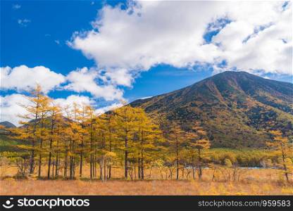 Autumn Fall Landscape of Senjogahara plateau Field Forest and mountain in Nikko Tochigi Japan
