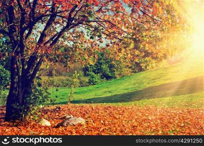Autumn, fall landscape with a tree full of colorful, falling leaves, Green hill in the background.