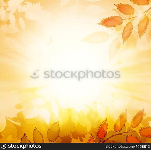 Autumn Fall Orange Background With Maple Leafs And Shine