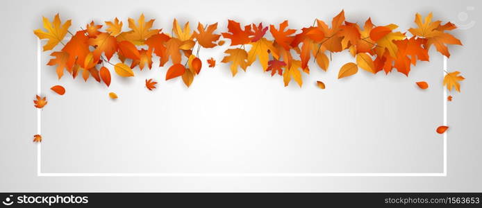 Autumn falling leaves background