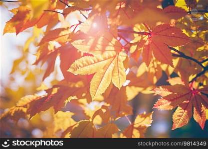 Autumn Falling Leaves Background. Illustration Generative AI