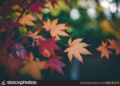 Autumn Falling Leaves Background. Illustration Generative AI