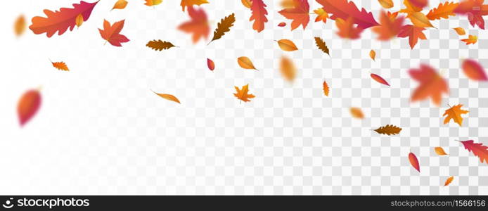 Autumn falling leaves background Vector template.