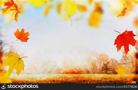 Autumn falling leaves on nature garden or park background with lawn, sky and colorful trees foliage, outdoor, banner