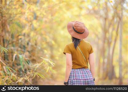 Autumn fashion concept / Asian girl walk and standing back in the autumn tree forest at park background , Young women wearing a hat in japan