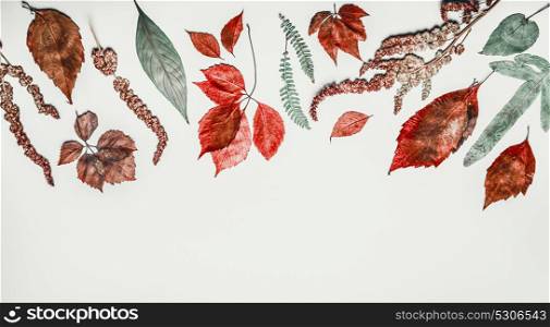 Autumn flat lay border made with various colorful fall leaves on light background, top view, frame