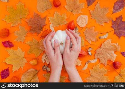 Autumn flat lay composition with white pumpkin in female hands and dry leaves on bold orange color background. Creative autumn, thanksgiving, fall, halloween concept. Top view, copy space