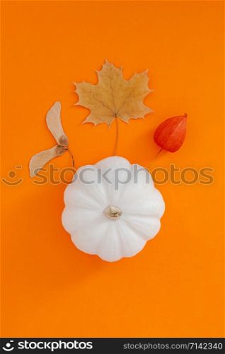 Autumn flat lay composition with white pumpkins and dry leaves on bold orange color background. Creative autumn, thanksgiving, fall, halloween concept. Top view, copy space