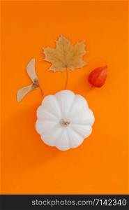 Autumn flat lay composition with white pumpkins and dry leaves on bold orange color background. Creative autumn, thanksgiving, fall, halloween concept. Top view, copy space