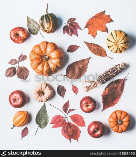 Autumn flat lay with various pumpkins and dried leaves on white background, top view