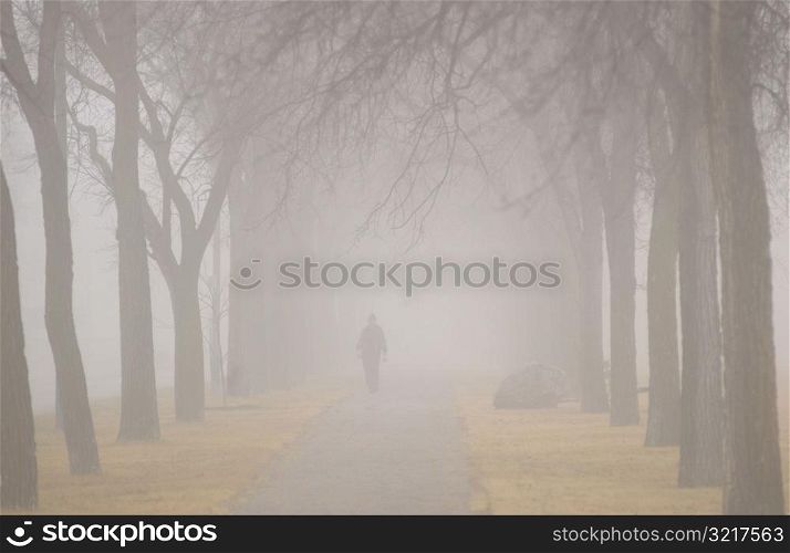 autumn fog in Assiniboine Park, Winnipeg, Manitoba