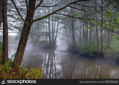 Autumn fog over the wild river. Early morning. Dzukijos National Park in Lithuania