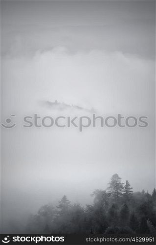 Autumn foggy Carpathian mountain scene. Fall rain and mist