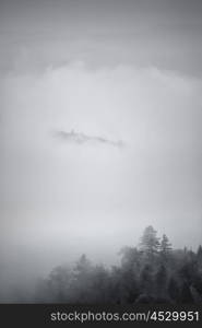 Autumn foggy Carpathian mountain scene. Fall rain and mist