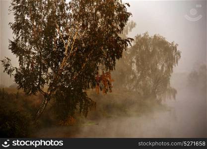 Autumn foggy morning. Birch trees on the riverbank. Beautiful autumn scene. Dawn on the misty calm river