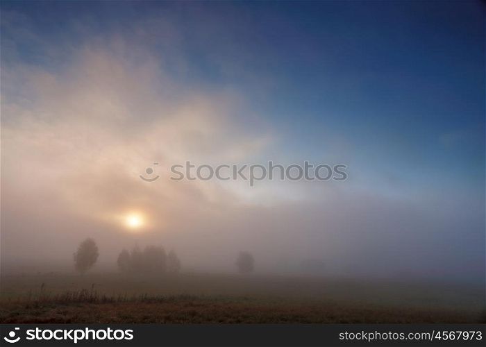 Autumn foggy morning. Misty sunrise in the wild meadows