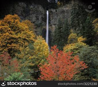 Autumn Foliage and Waterfall