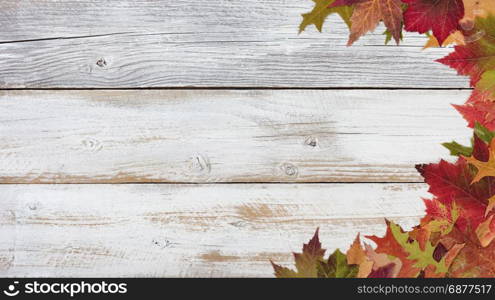 Autumn foliage for Thanksgiving and fall holidays. Right border background with plenty of copy space