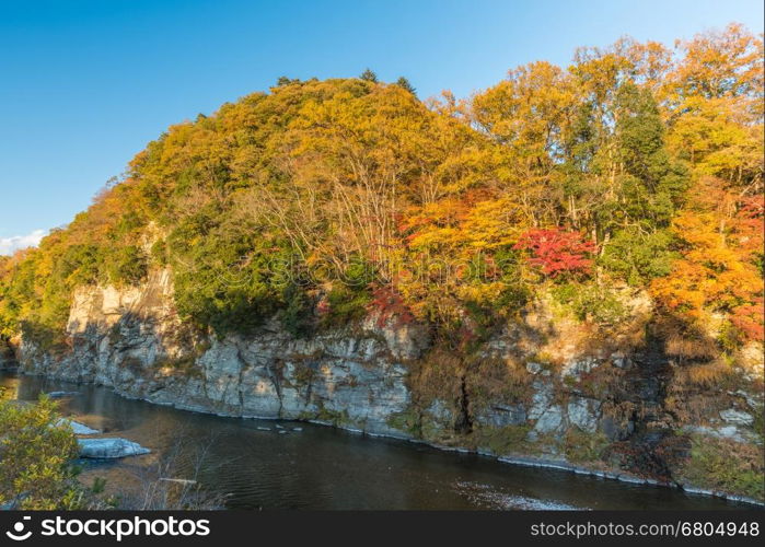 Autumn foliage in Nagatoro, Saitama, Japan