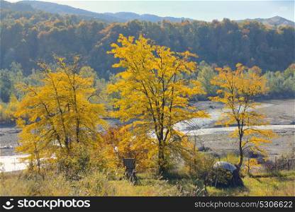 Autumn foliage over romanian river