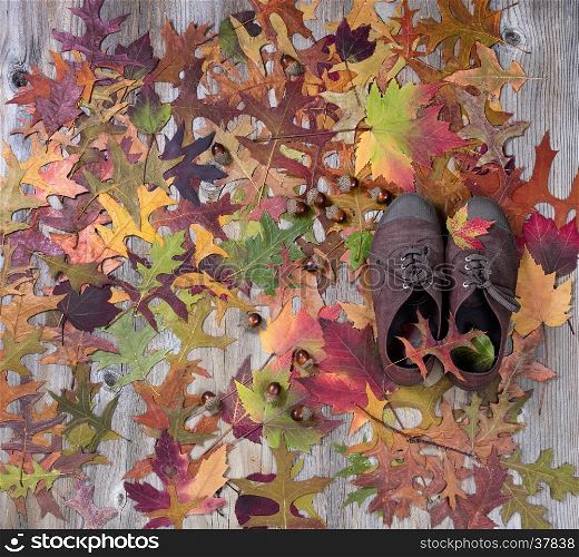 Autumn foliage with comfortable shoes on rustic wood.