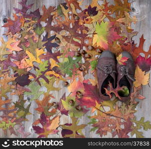 Autumn foliage with comfortable shoes on rustic wood.