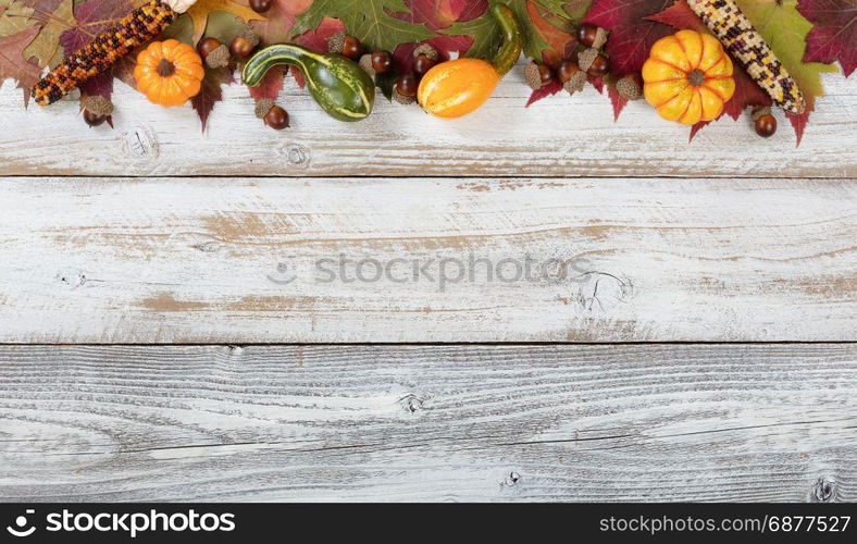 Autumn foliage with gourds, corns and acorns for Thanksgiving and fall holidays. Top border background with plenty of copy space