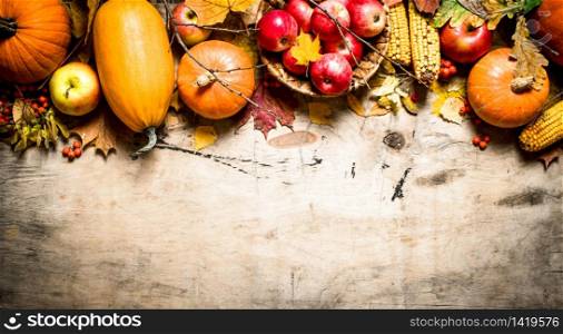 Autumn food. Autumn fruits and vegetables. On wooden background.. Autumn fruits and vegetables.