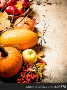 Autumn food. Autumn fruits and vegetables. On wooden background.. Autumn fruits and vegetables.