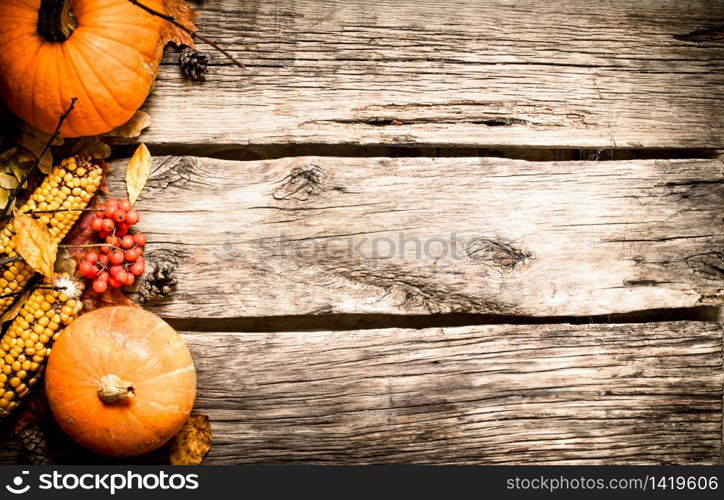 Autumn food. Autumn fruits and vegetables. On wooden background.. Autumn fruits and vegetables.