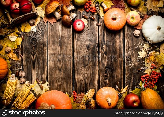 Autumn food . Frame of autumn vegetables and fruits. On wooden background.. Frame of autumn vegetables and fruits.