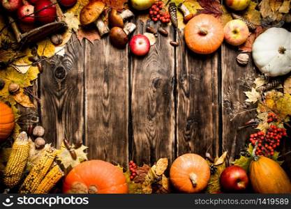 Autumn food . Frame of autumn vegetables and fruits. On wooden background.. Frame of autumn vegetables and fruits.