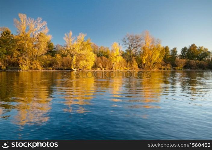 Autumn forest and lake reflection. Autumn landscape.