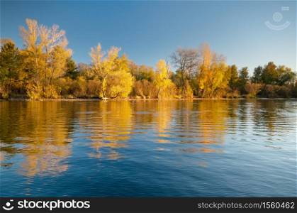Autumn forest and lake reflection. Autumn landscape.