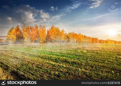 Autumn forest and morning fog over the field