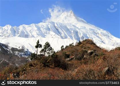 Autumn forest and snow mount Manaslu in Nepal
