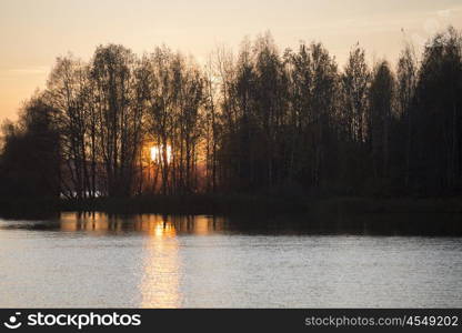 autumn forest by the lake. Western Europe.